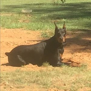 Meet your Posher, Kent